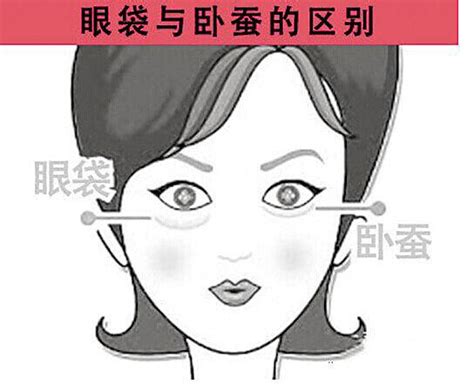 沒有臥蠶面相|【面相】面相入門4看點，有無貴人看這邊 